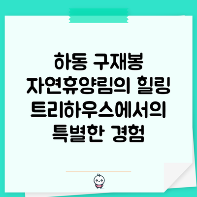 하동 구재봉 자연휴양림의 힐링 트리하우스에서의 특별한 경험