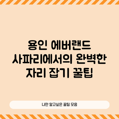 용인 에버랜드 사파리에서의 완벽한 자리 잡기 꿀팁