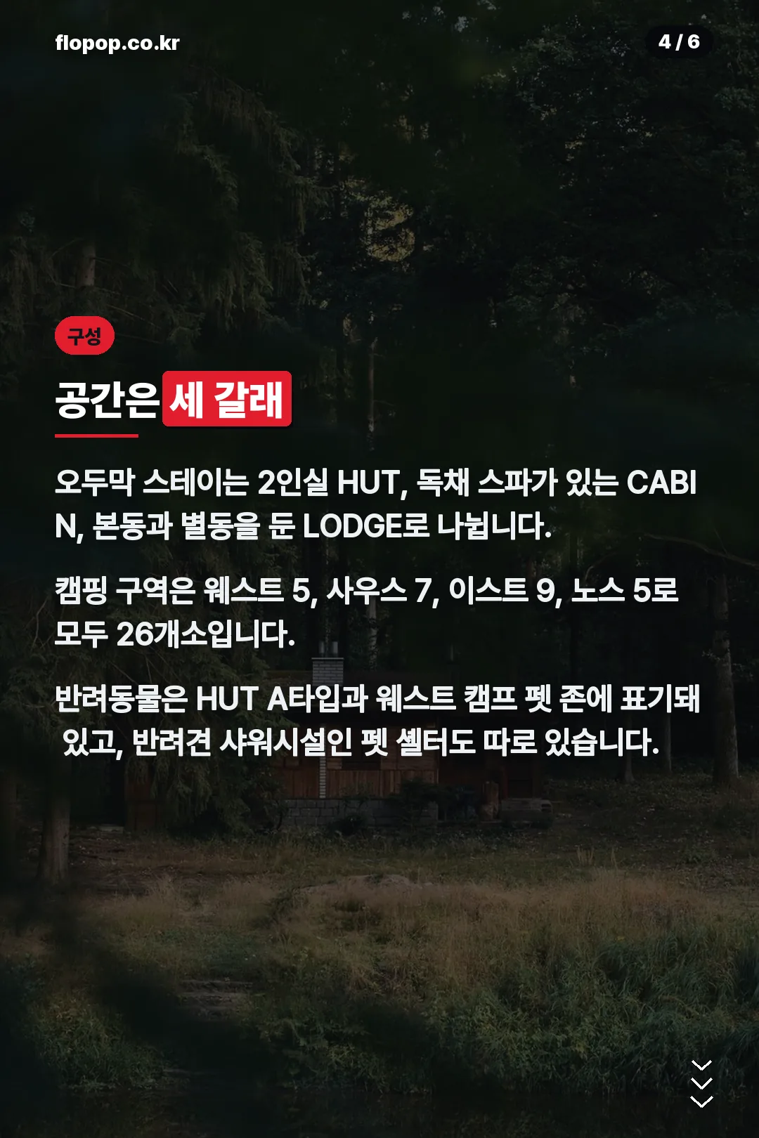 스테이와 캠핑 구성