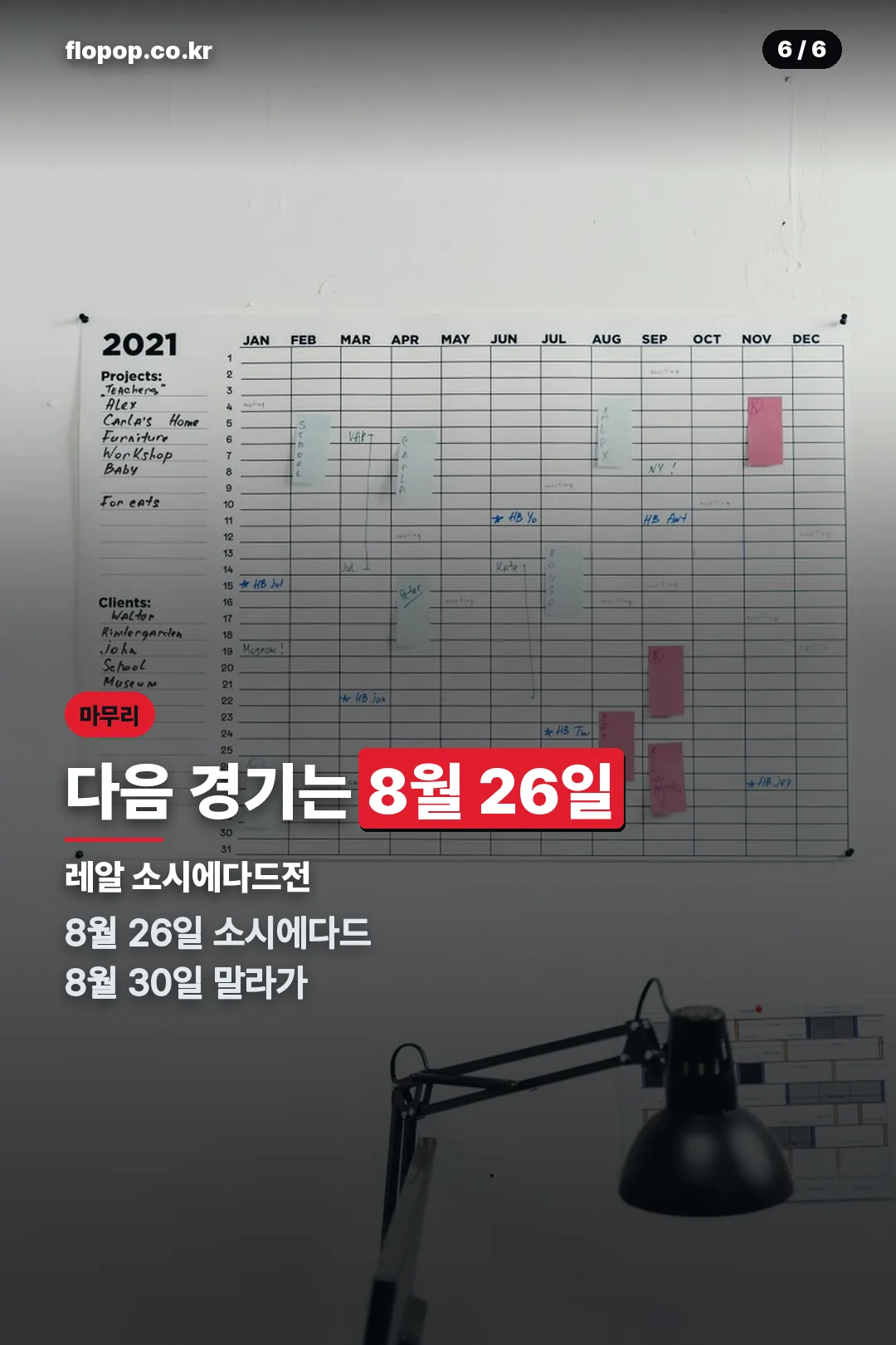 다음 일정