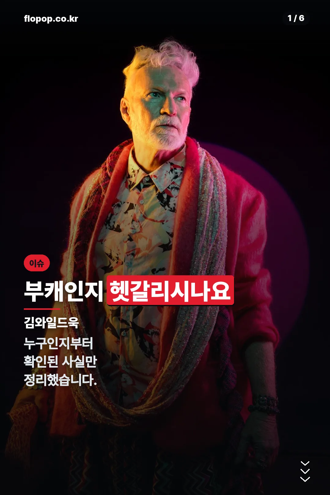 김와일드욱 표지