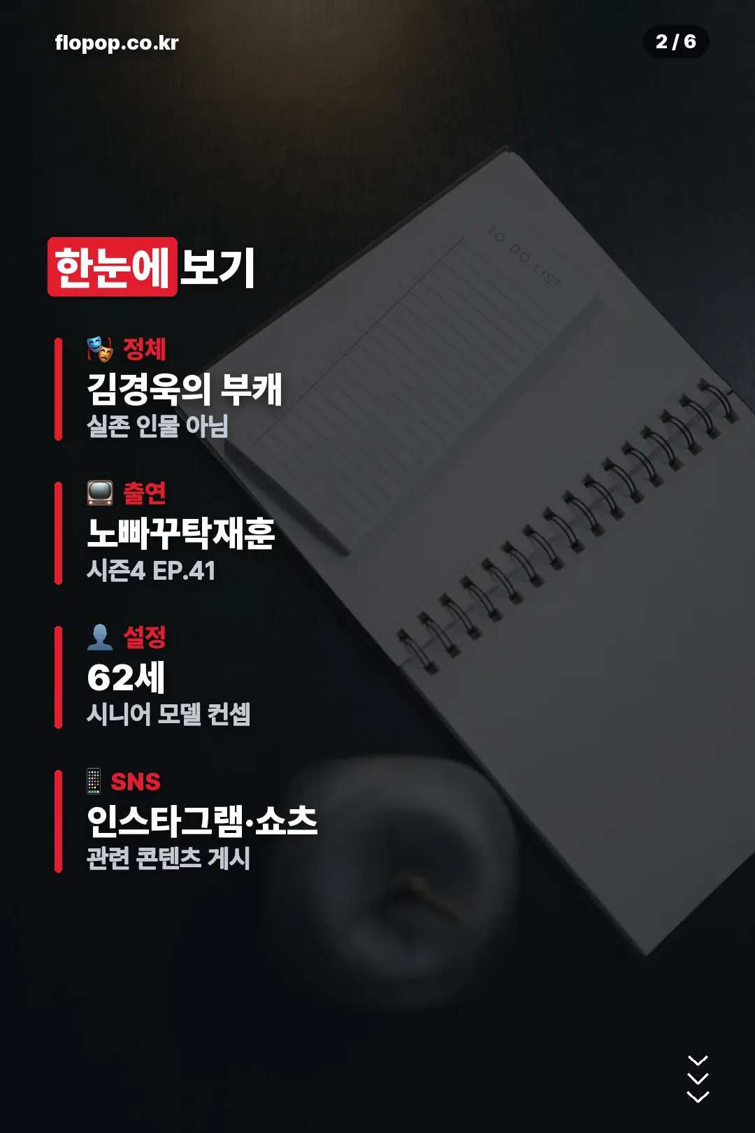정체 요약