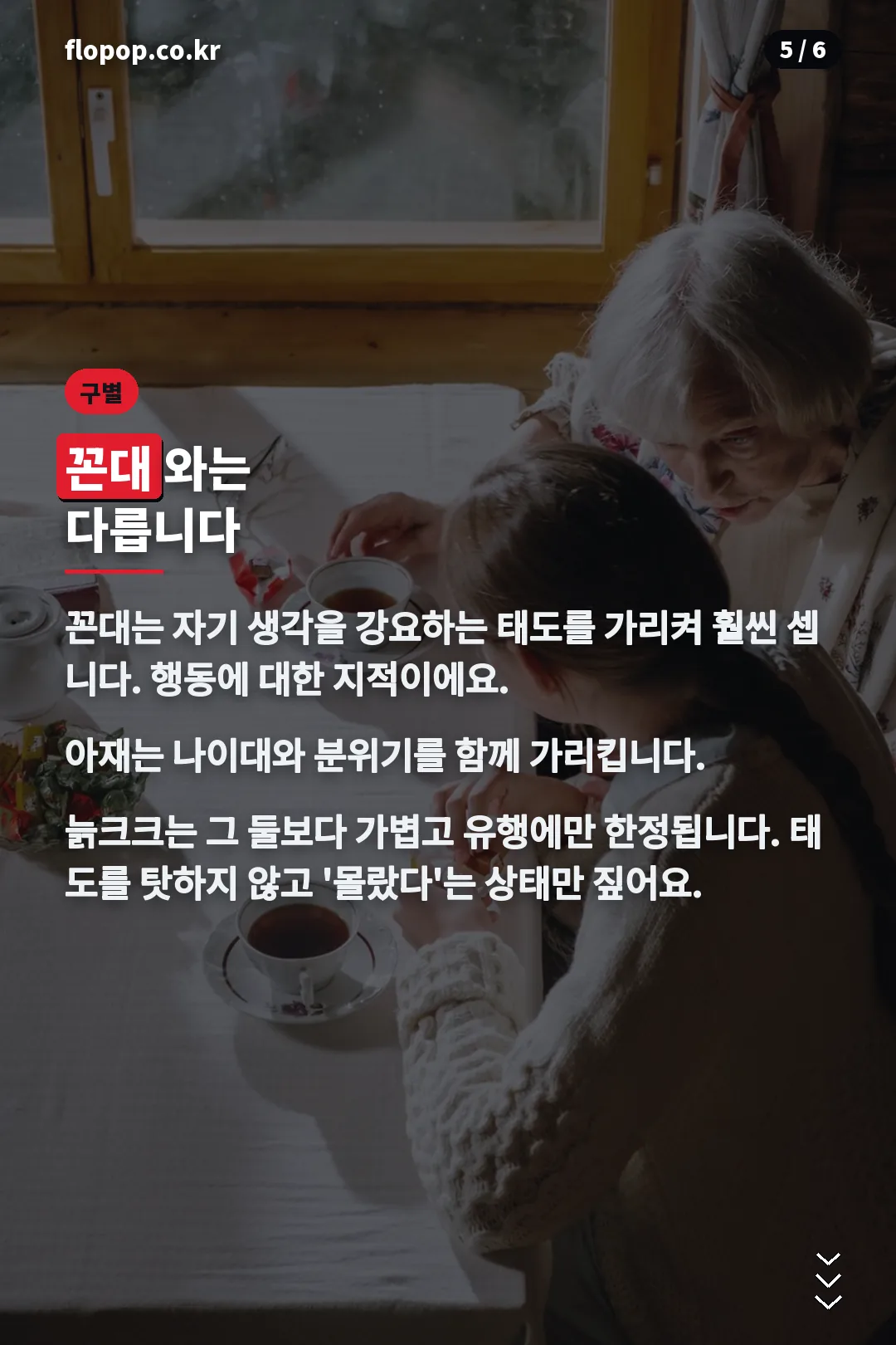 비슷한 말과 구별