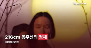 타살감흥 할아비 정리 썸네일