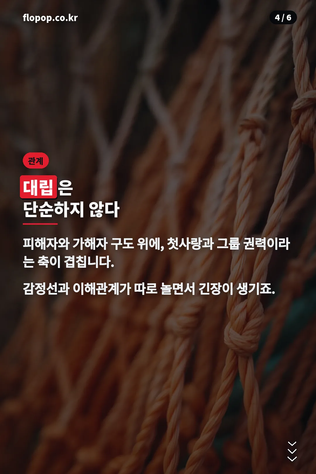 대립 관계