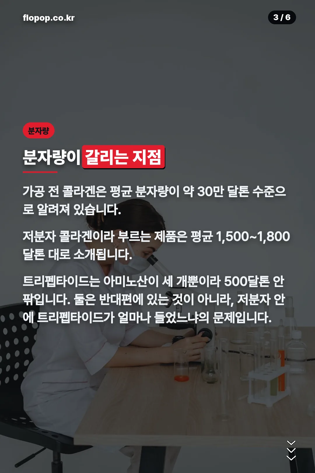 분자량 비교