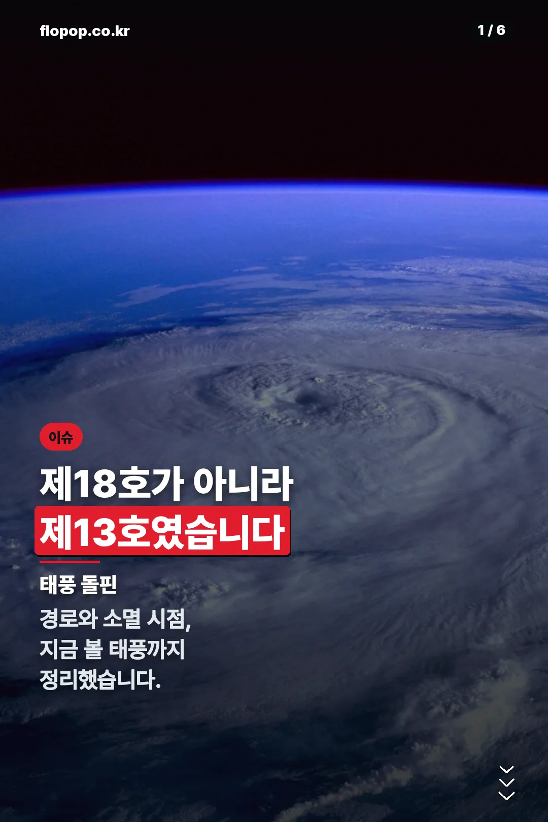 태풍 돌핀 표지