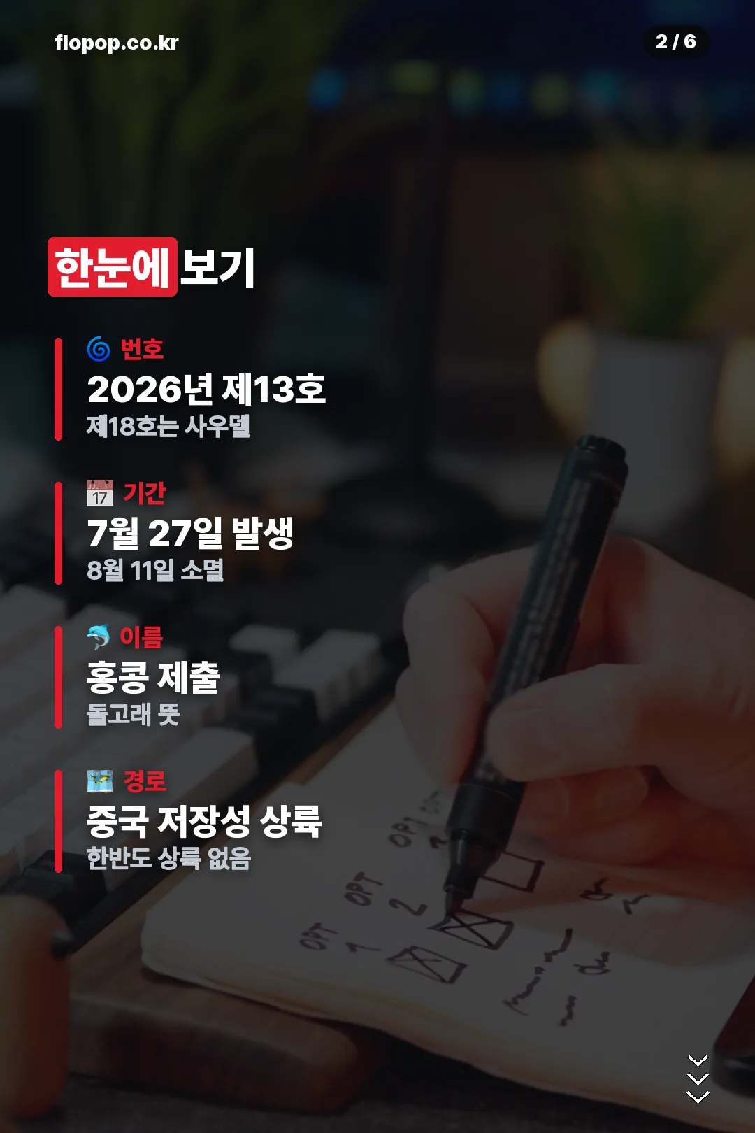 돌핀 한눈에 보기