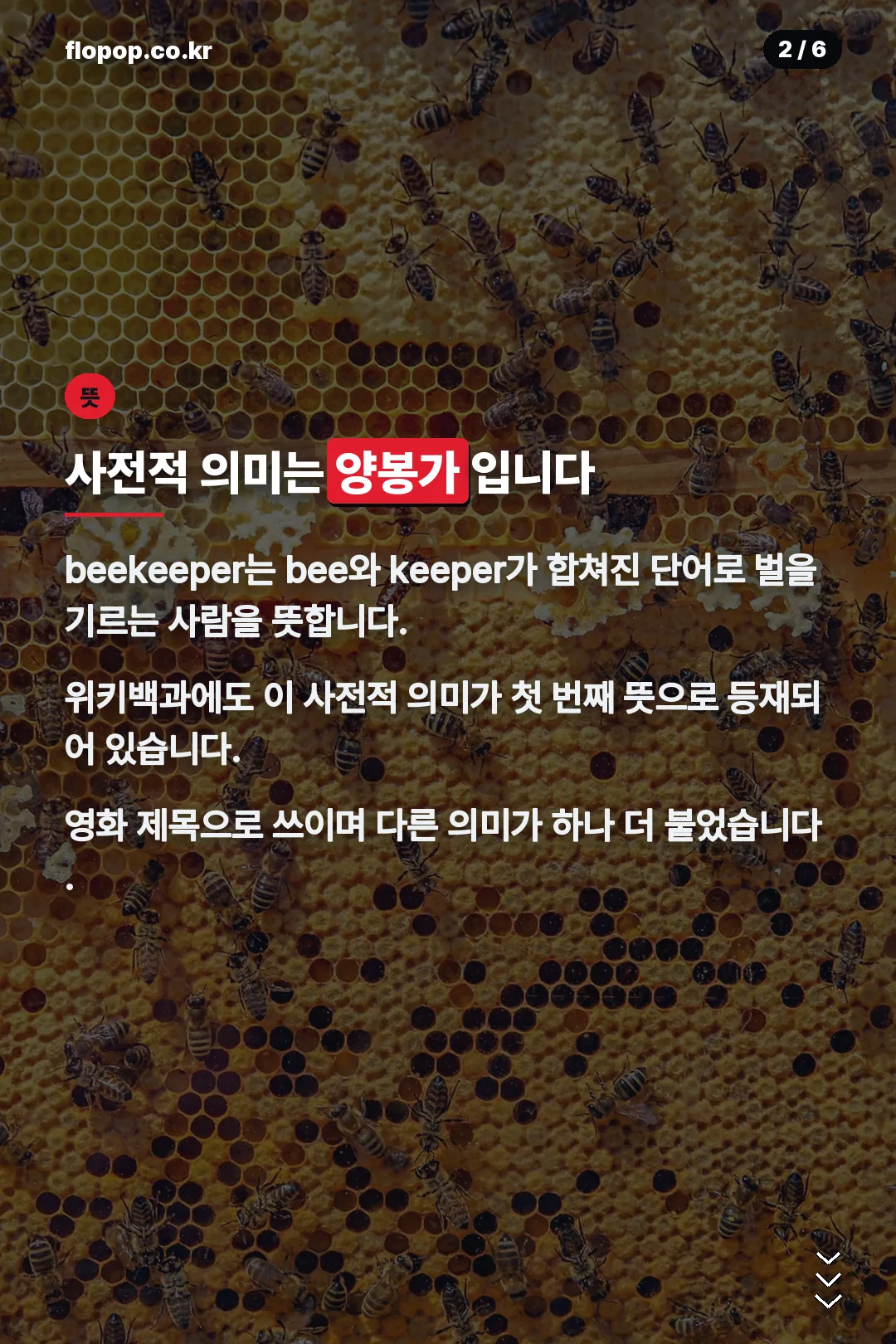 사전적 의미는 양봉가