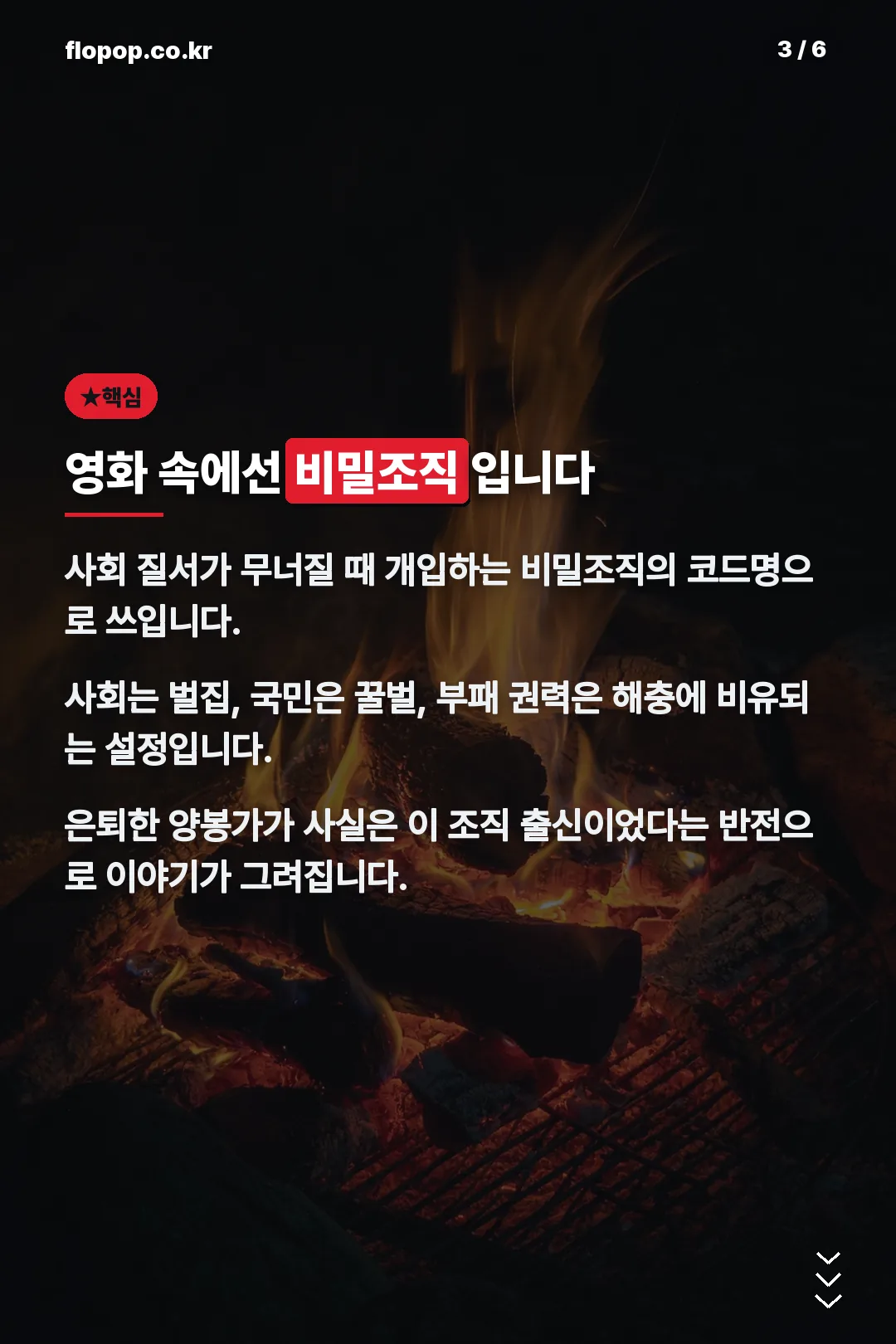 영화 속 비밀조직