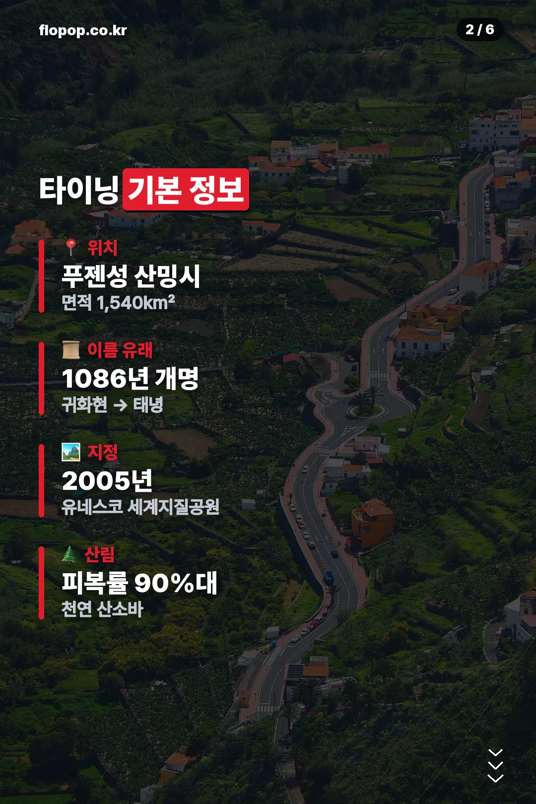 타이닝 기본 정보