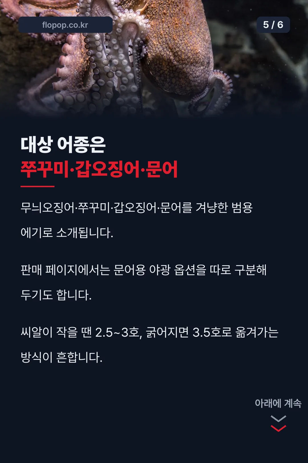 대상 어종 쭈꾸미 갑오징어 문어