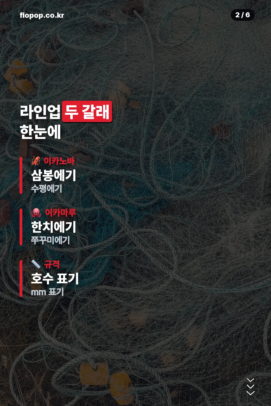 라인업 두 갈래