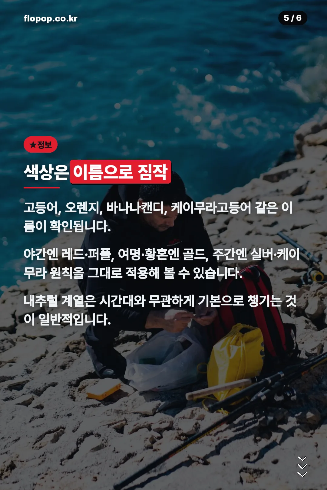 색상은 이름으로 짐작