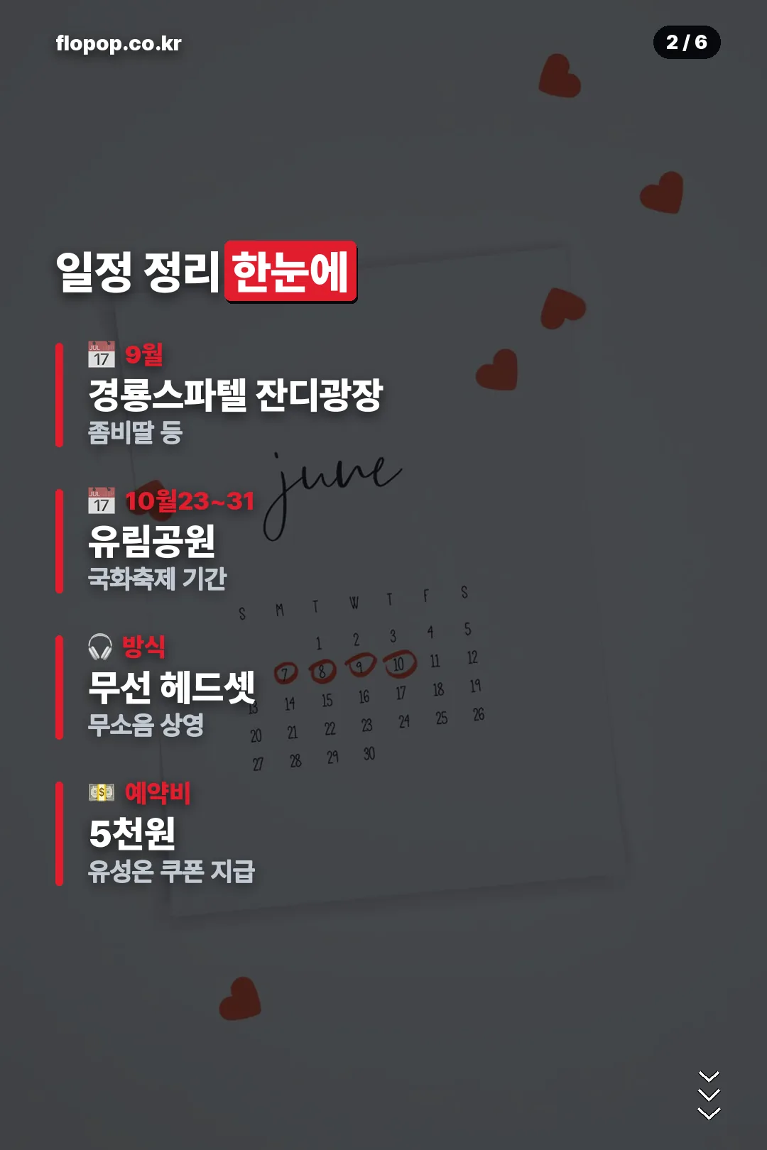 일정 요약