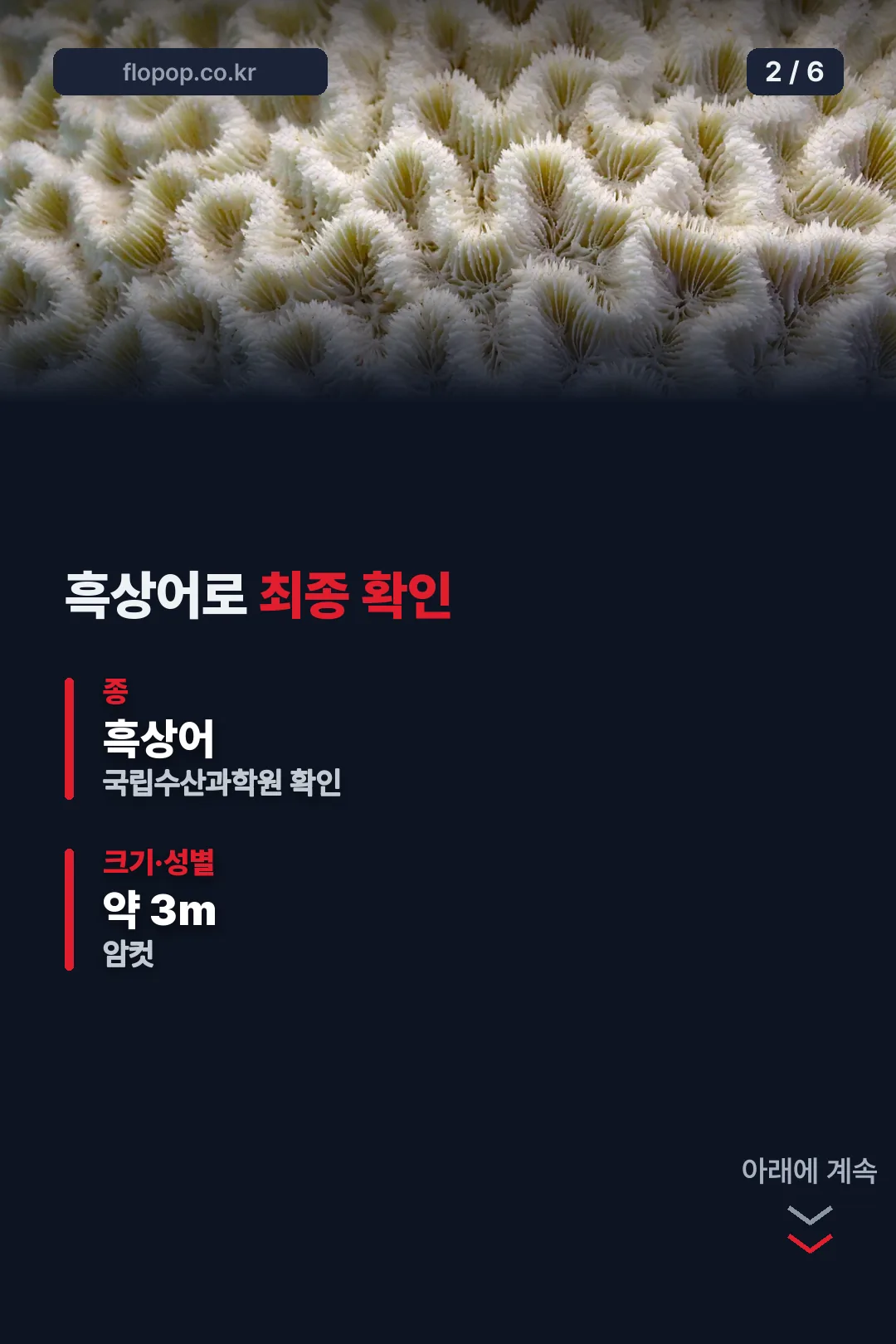 종 확인 10월 6일