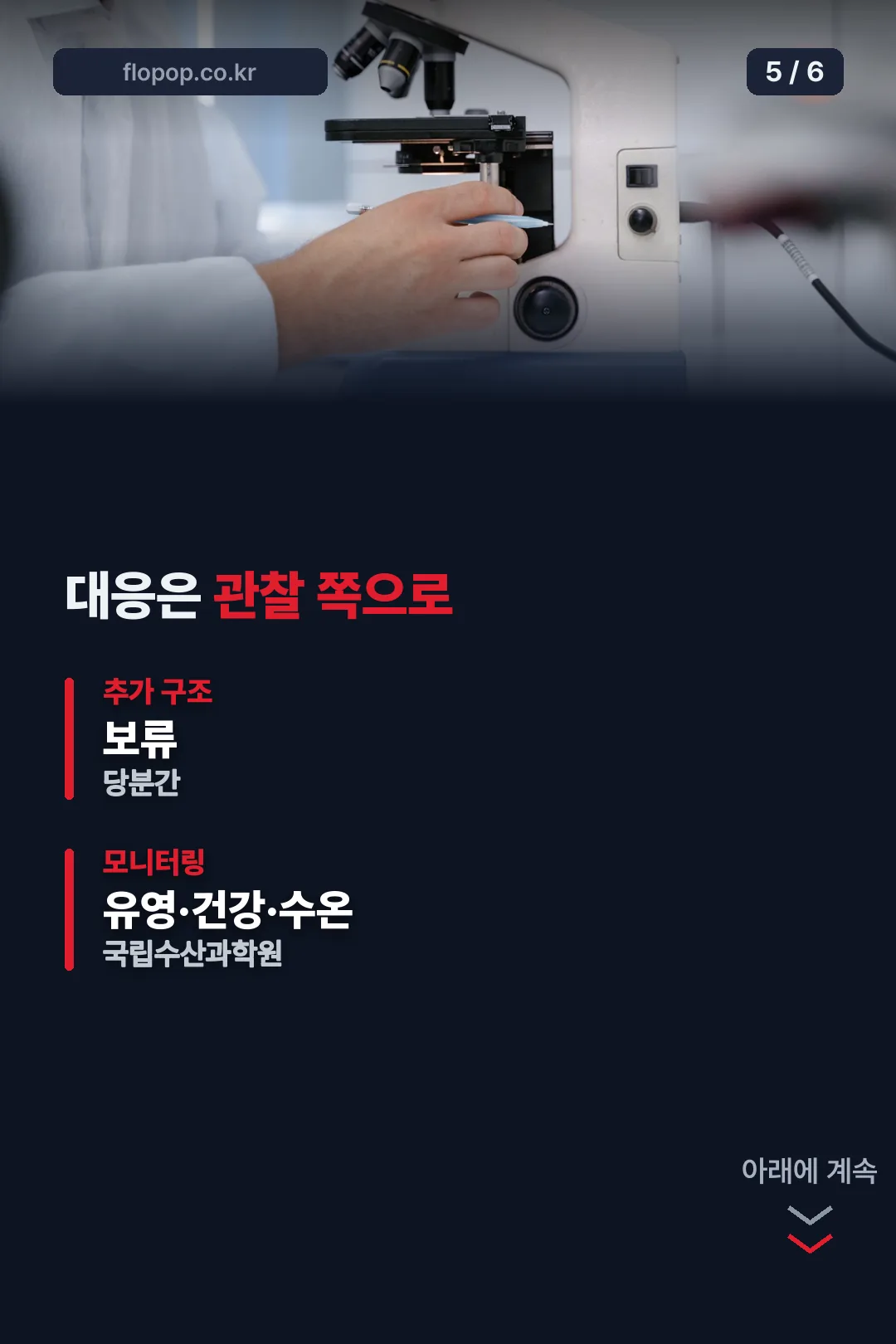 당국 모니터링 대응