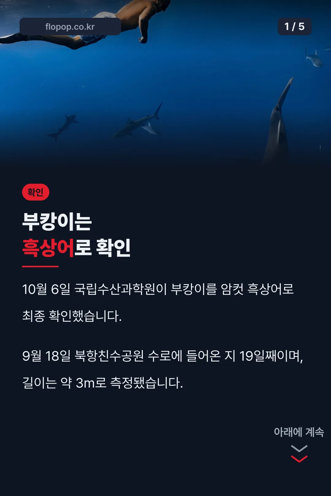 부캉이는 암컷 흑상어로 확인