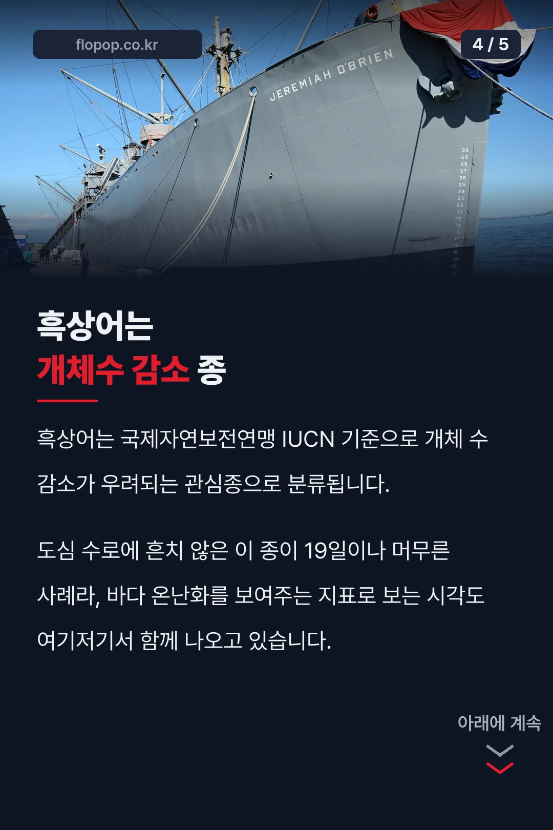 개체수 감소 중인 흑상어