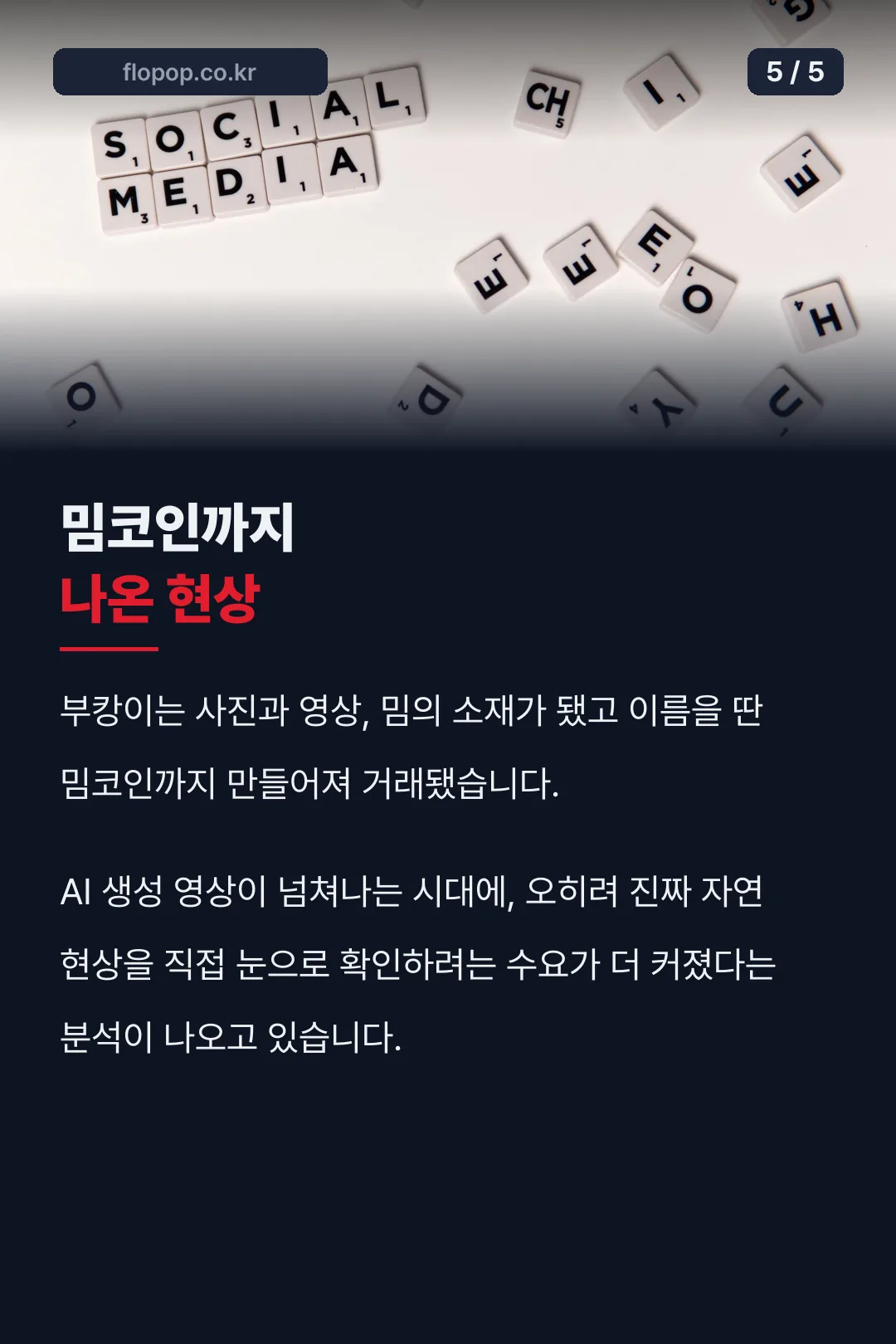 밈코인까지 생긴 문화 현상
