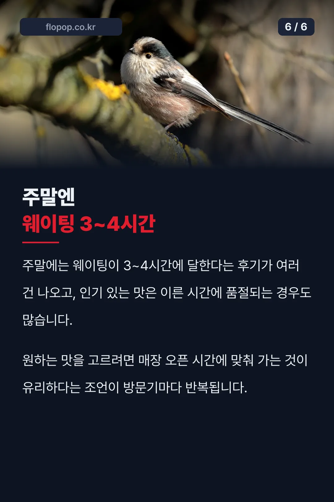주말 웨이팅 안내