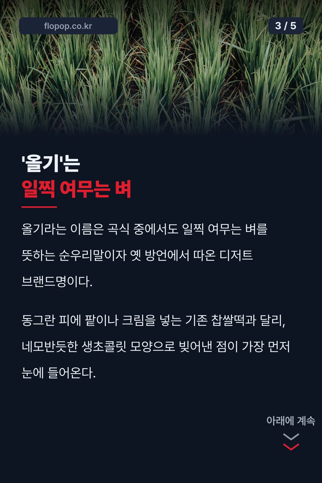 올기 이름 유래