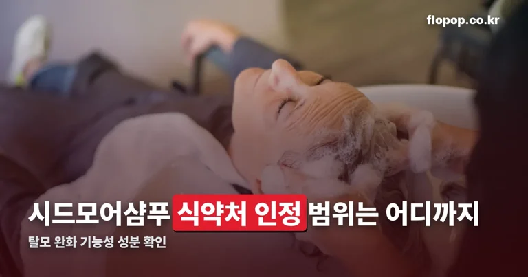 시드모어샴푸 정리 썸네일