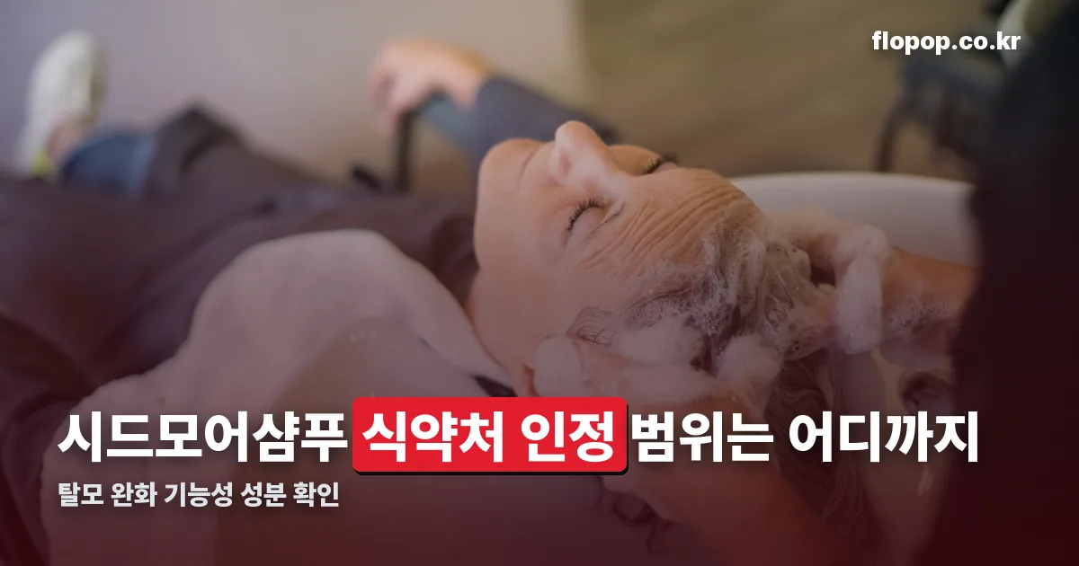 시드모어샴푸 정리 썸네일